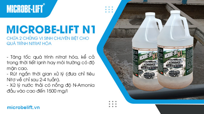 Sản phẩm men vi sinh Microbe-Lift N1 chứa 2 chủng vi sinh vật Nitrosomonas sp. và Nitrobacter sp., chuyên biệt cho quá trình Nitrat hóa, xử lý Nitơ và Amonia. Sản phẩm men vi sinh Microbe-Lift N1 chứa 2 chủng vi sinh vật Nitrosomonas sp. và Nitrobacter sp., chuyên biệt cho quá trình Nitrat hóa, xử lý Nitơ và Amonia.