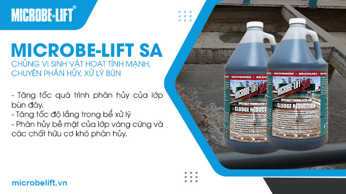 Men vi sinh Microbe-Lift SA giúp tăng tốc quá trình phân hủy lớp bùn đáy, váng cứng và chất hữu cơ khó phân hủy. Men vi sinh Microbe-Lift SA giúp tăng tốc quá trình phân hủy lớp bùn đáy, váng cứng và chất hữu cơ khó phân hủy.