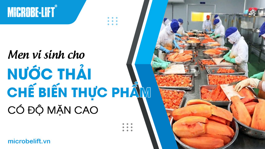 Men vi sinh cho nước thải chế biến thực phẩm có độ mặn cao