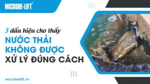 3 dấu hiệu cho thấy nước thải không được xử lý đúng cách