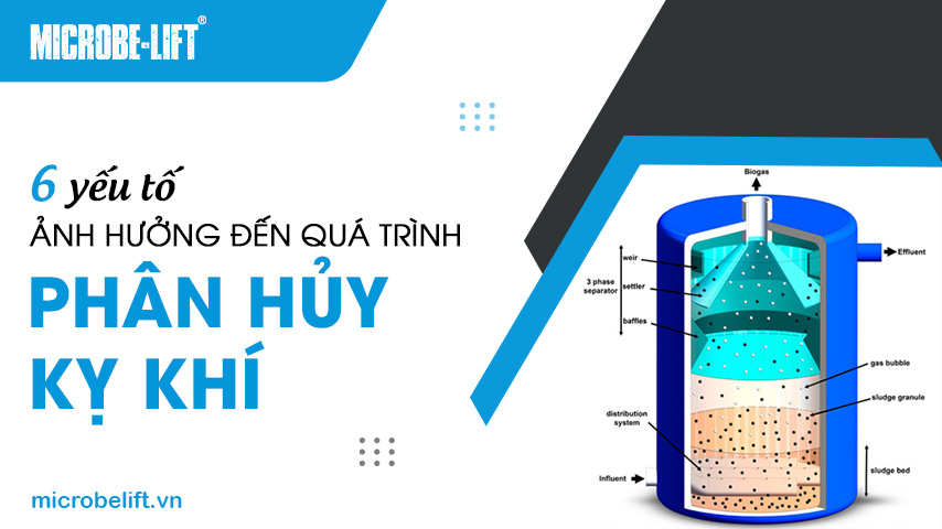 6 yếu tố ảnh hưởng đến quá trình phân hủy kỵ khí