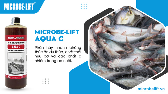 Men vi sinh Microbe-Lift AQUA C giúp phân hủy nhanh chất thải hữu cơ và thức ăn thừa Men vi sinh Microbe-Lift AQUA C giúp phân hủy nhanh chất thải hữu cơ và thức ăn thừa