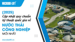 [2025] Cập nhật quy chuẩn kỹ thuật quốc gia về nước thải công nghiệp mới nhất