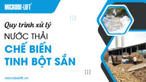 Quy trình xử lý nước thải chế biến tinh bột sắn