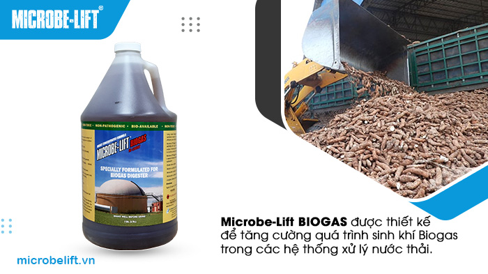 Microbe-Lift BIOGAS được thiết kế để tăng cường quá trình sinh khí biogas Microbe-Lift BIOGAS được thiết kế để tăng cường quá trình sinh khí biogas