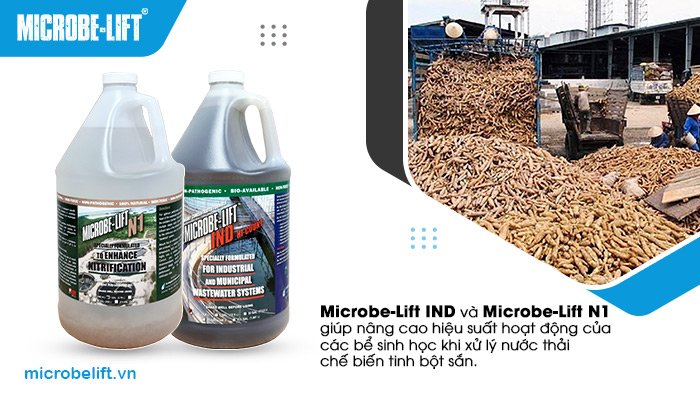 Microbe-Lift IND và Microbe-Lift N1 là hai chế phẩm sinh học chuyên dụng Microbe-Lift IND và Microbe-Lift N1 là hai chế phẩm sinh học chuyên dụng