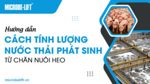 Hướng dẫn cách tính lượng nước thải phát sinh từ chăn nuôi heo