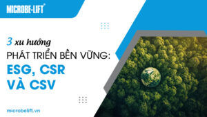 3 xu hướng phát triển bền vững: ESG, CSR và CSV