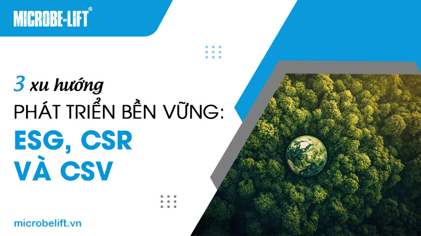 3 xu hướng phát triển bền vững: ESG, CSR và CSV