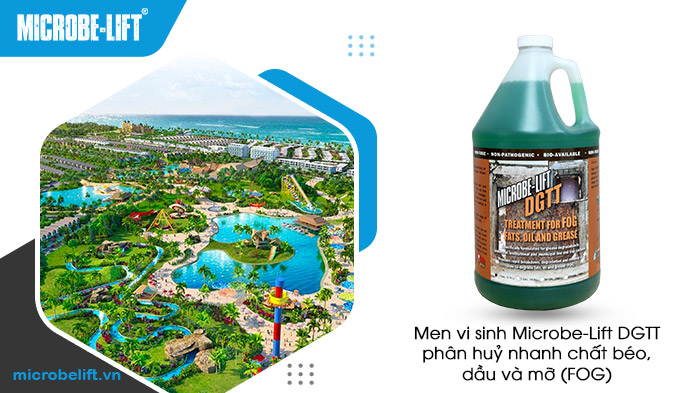 Men vi sinh xử lý dầu mỡ Microbe-Lift DGTT Men vi sinh xử lý dầu mỡ Microbe-Lift DGTT