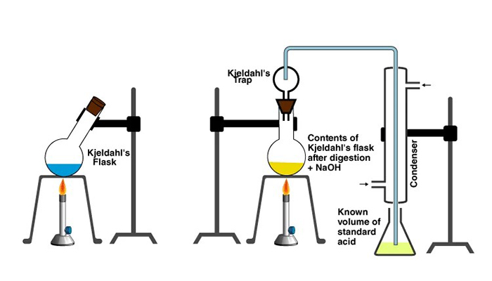 Nguyên lý xác định hàm lượng Protein bằng phương pháp Kjeldahl Nguyên lý xác định hàm lượng Protein bằng phương pháp Kjeldahl