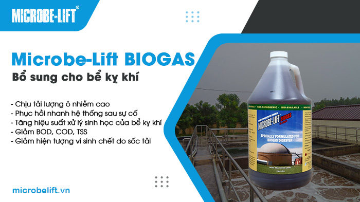 Microbe-Lift BIOGAS – Men vi sinh xử lý nước thải có hàm lượng BOD, COD, TSS rất cao tới hàng ngàn mg/l. Microbe-Lift BIOGAS – Men vi sinh xử lý nước thải có hàm lượng BOD, COD, TSS rất cao tới hàng ngàn mg/l.