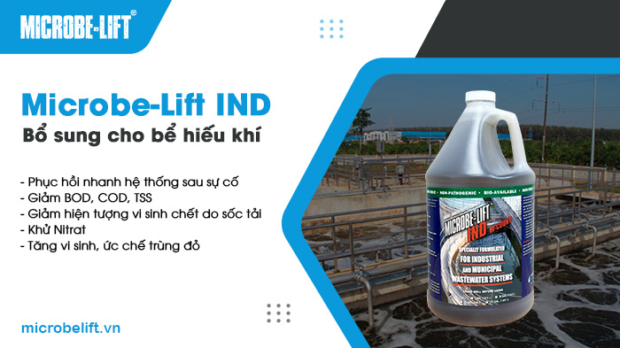 Men vi sinh lỏng Microbe-Lift IND nhập khẩu trực tiếp từ Mỹ. Men vi sinh lỏng Microbe-Lift IND nhập khẩu trực tiếp từ Mỹ.