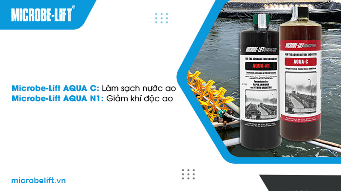 Sử dụng men vi sinh chất lượng để phòng các bệnh về gan hiệu quả. Sử dụng men vi sinh chất lượng để phòng các bệnh về gan hiệu quả.