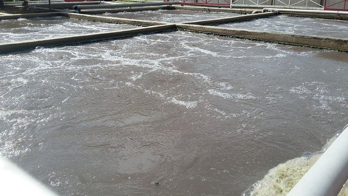 Lĩnh vực chế biến tinh bột đối mặt với nhiều thách thức như ô nhiễm môi trường do nước thải Lĩnh vực chế biến tinh bột đối mặt với nhiều thách thức như ô nhiễm môi trường do nước thải