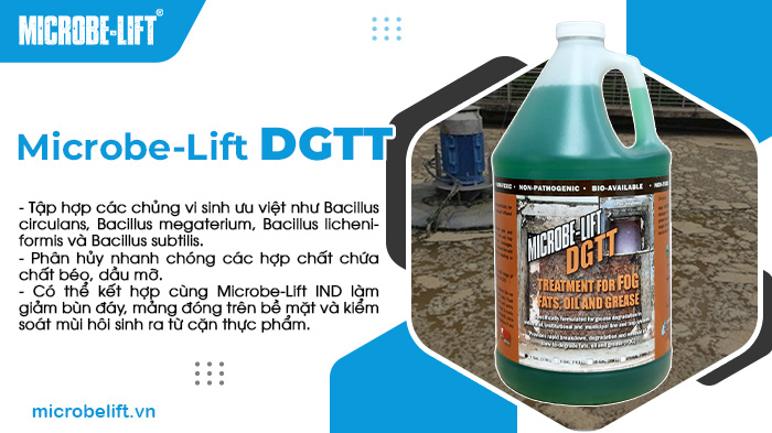 Microbe-Lift DGTT là sản phẩm dạng lỏng được phát triển bởi Viện Nghiên cứu Sinh thái Hoa Kỳ Microbe-Lift DGTT là sản phẩm dạng lỏng được phát triển bởi Viện Nghiên cứu Sinh thái Hoa Kỳ