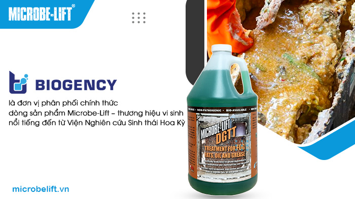 Men vi sinh xử lý dầu mỡ trong nước thải nào tốt? 2 BIOGENCY - Địa chỉ mua men vi sinh xử lý dầu mỡ trong nước thải uy tín
