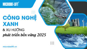 Công nghệ xanh và xu hướng phát triển bền vững 2025