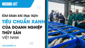 Khó khăn khi thực hiện tiêu chuẩn xanh của doanh nghiệp thuỷ sản Việt Nam