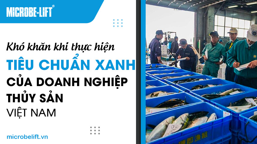 Khó khăn khi thực hiện tiêu chuẩn xanh của doanh nghiệp thuỷ sản Việt Nam