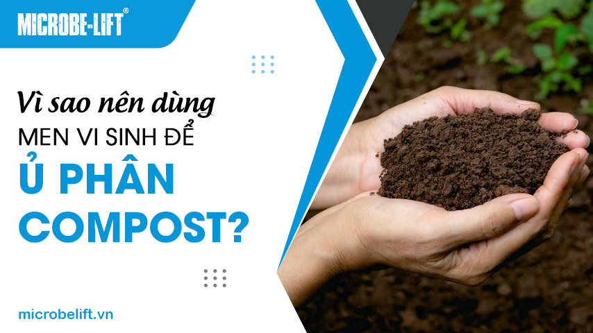 Vì sao nên dùng men vi sinh để ủ phân compost?