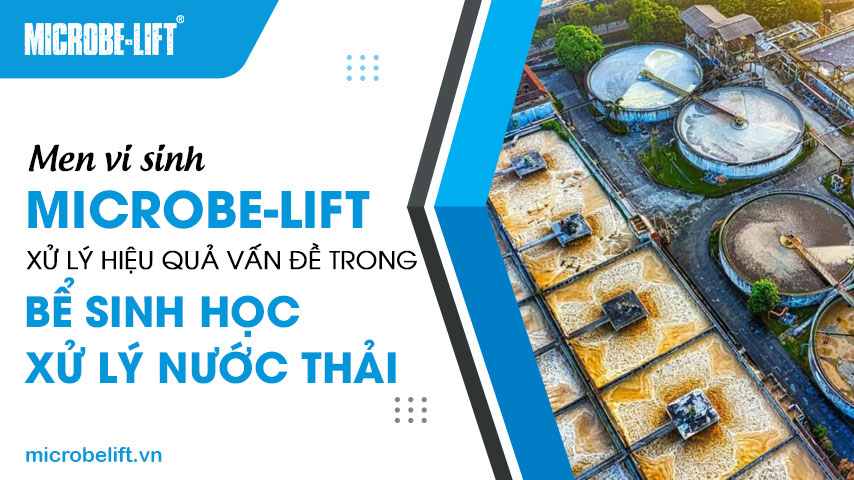 Men vi sinh Microbe-Lift xử lý hiệu quả vấn đề trong bể sinh học HTXLNT