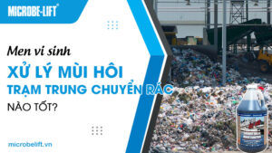 Men vi sinh xử lý mùi hôi trạm trung chuyển rác nào tốt?