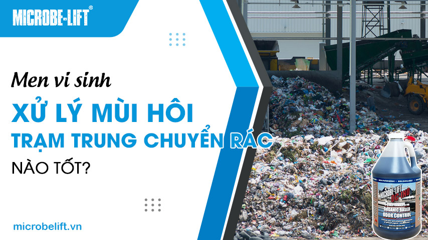 Men vi sinh xử lý mùi hôi trạm trung chuyển rác nào tốt?