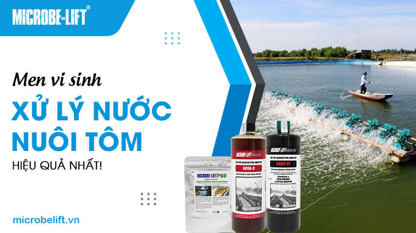 Men vi sinh xử lý nước nuôi tôm hiệu quả nhất!