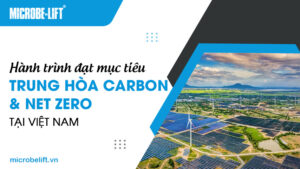 Hành trình đạt mục tiêu trung hòa Carbon và Net Zero tại Việt Nam