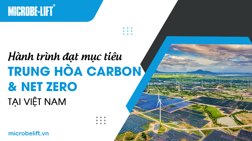 Hành trình đạt mục tiêu trung hòa Carbon và Net Zero tại Việt Nam