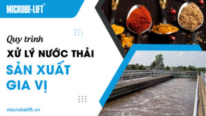 Quy trình xử lý nước thải sản xuất gia vị