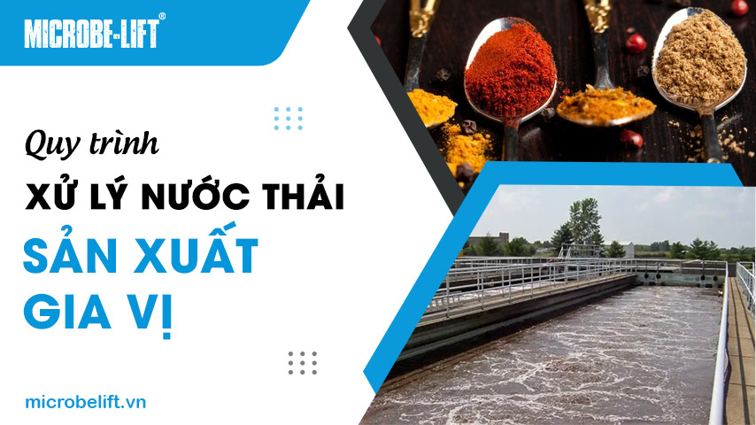 Quy trình xử lý nước thải sản xuất gia vị