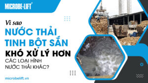 Vì sao nước thải tinh bột sắn khó xử lý hơn các loại hình nước thải khác?