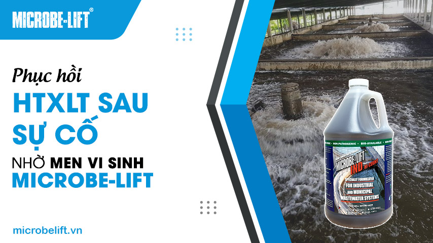 Phục hồi HTXLNT sau sự cố nhờ men vi sinh Microbe-Lift IND