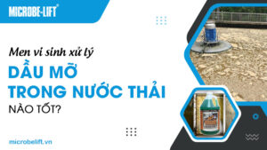 Men vi sinh xử lý dầu mỡ trong nước thải nào tốt?