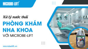 Xử lý nước thải phòng khám nha khoa với Microbe-Lift