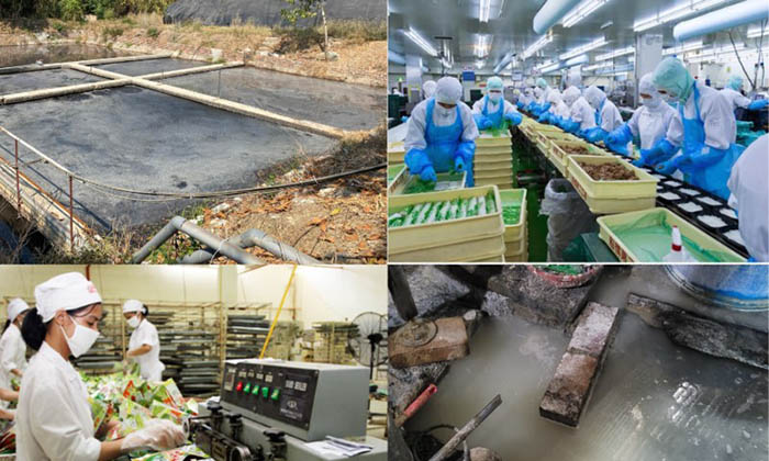 Nước thải từ ngành công nghiệp bánh kẹo có đặc điểm riêng biệt với hàm lượng chất hữu cơ cao đòi hỏi các chủng vi sinh phải đủ mạnh để xử lý triệt để và ổn định. Nước thải từ ngành công nghiệp bánh kẹo có đặc điểm riêng biệt với hàm lượng chất hữu cơ cao đòi hỏi các chủng vi sinh phải đủ mạnh để xử lý triệt để và ổn định.