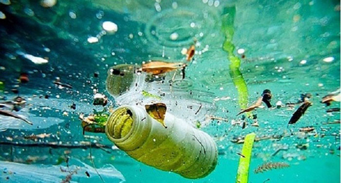 Ô nhiễm vi nhựa là hiện tượng các hạt nhựa siêu nhỏ tồn tại, tích tụ trong môi trường tự nhiên. Ô nhiễm vi nhựa là hiện tượng các hạt nhựa siêu nhỏ tồn tại, tích tụ trong môi trường tự nhiên.