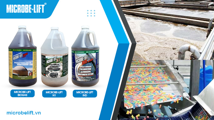 Bộ 3 men vi sinh xử lý nước thải sản xuất bánh kẹo hiệu quả. Bộ 3 men vi sinh xử lý nước thải sản xuất bánh kẹo hiệu quả.