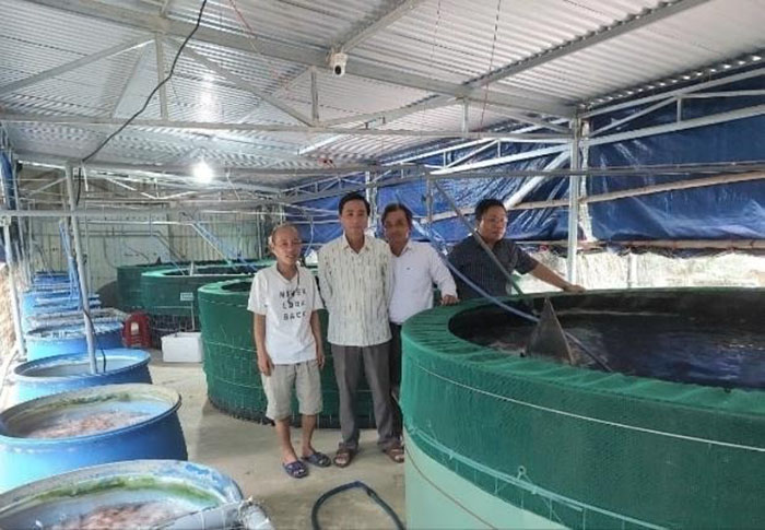 Cơ sở nuôi cá chình trong bể lọc tuần hoàn của ông Nguyễn Hết (thôn Hòa Thạch, xã Đại Quang). Cơ sở nuôi cá chình trong bể lọc tuần hoàn của ông Nguyễn Hết (thôn Hòa Thạch, xã Đại Quang).