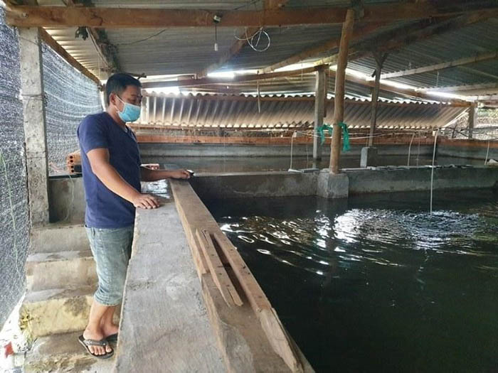 Việc thiết kế bể đúng tiêu chuẩn giúp duy trì môi trường sống ổn định. Việc thiết kế bể đúng tiêu chuẩn giúp duy trì môi trường sống ổn định.