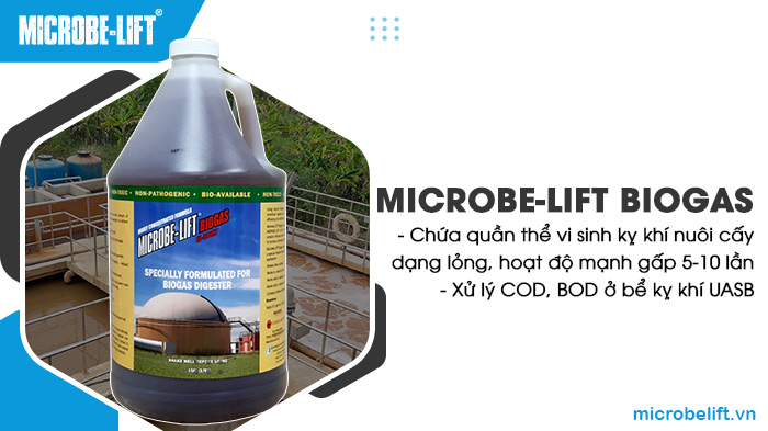 Men vi sinh Microbe-Lift BIOGAS xử lý COD, BOD ở bể kỵ khí UASB. Men vi sinh Microbe-Lift BIOGAS xử lý COD, BOD ở bể kỵ khí UASB.