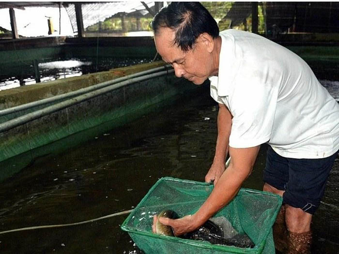 Chuẩn bị bể nuôi và đảm bảo điều kiện môi trường phù hợp. Chuẩn bị bể nuôi và đảm bảo điều kiện môi trường phù hợp.