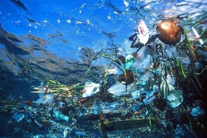 Ô nhiễm vi nhựa trong nước: Nguyên nhân và biện pháp khắc phục 2 Nâng cao nhận thức của cộng đồng nhằm giảm thiểu việc thải bỏ chất thải nhựa.