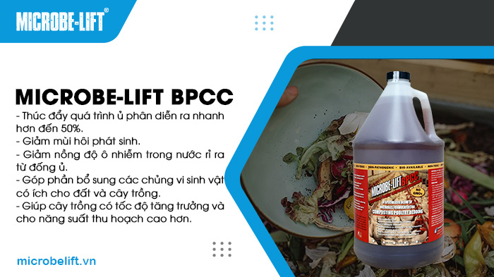 Sử dụng men vi sinh Microbe-Lift BPCC để tăng quá trình phân hủy, rút ngắn thời gian ủ phân từ rác nhà bếp. Sử dụng men vi sinh Microbe-Lift BPCC để tăng quá trình phân hủy, rút ngắn thời gian ủ phân từ rác nhà bếp.