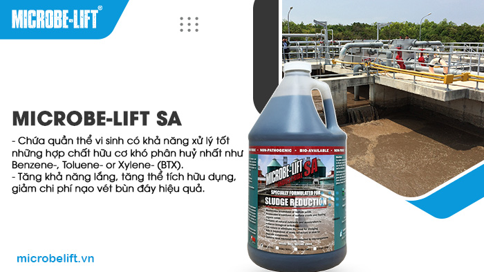 Men vi sinh Microbe-Lift SA tăng khả năng lắng, tăng thể tích hữu dụng, giảm chi phí nạo vét bùn đáy hiệu quả. Men vi sinh Microbe-Lift SA tăng khả năng lắng, tăng thể tích hữu dụng, giảm chi phí nạo vét bùn đáy hiệu quả.