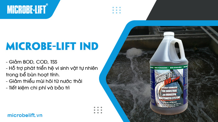 Men vi sinh xử lý nước thải nhà hàng tiệc cưới Microbe-Lift được đánh giá cao về hiệu quả xử lý chất ô nhiễm hữu cơ như BOD, COD và TSS. Men vi sinh xử lý nước thải nhà hàng tiệc cưới Microbe-Lift được đánh giá cao về hiệu quả xử lý chất ô nhiễm hữu cơ như BOD, COD và TSS.