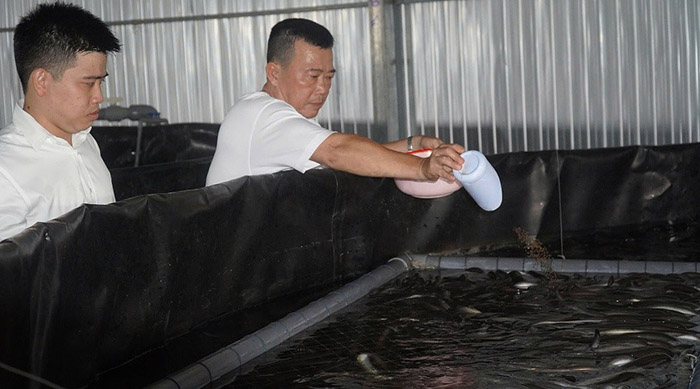 Nên cho cá ăn ít hơn nhu cầu để kích thích cá tranh ăn, giảm ô nhiễm môi trường nước. Nên cho cá ăn ít hơn nhu cầu để kích thích cá tranh ăn, giảm ô nhiễm môi trường nước.