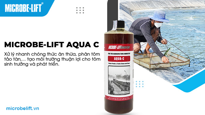 Men vi sinh Microbe-Lift AQUA C - Xử lý thức ăn thừa, phân tôm. Men vi sinh Microbe-Lift AQUA C - Xử lý thức ăn thừa, phân tôm.
